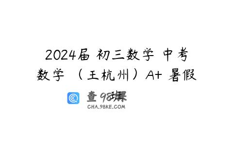 2024届 初三数学 中考数学 （王杭州）A+ 暑假班