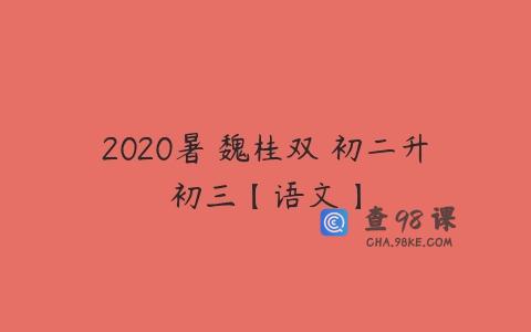 2020暑 魏桂双 初二升初三【语文】