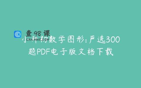 小升初数学图形:严选300题PDF电子版文档下载