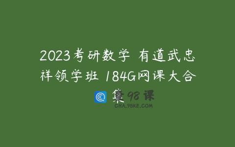 2023考研数学 有道武忠祥领学班 184G网课大合集