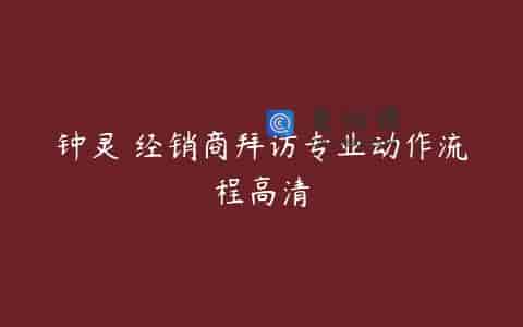 钟灵 经销商拜访专业动作流程高清