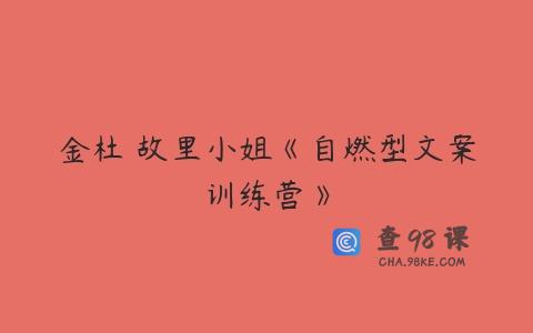 金杜 故里小姐《自燃型文案训练营》
