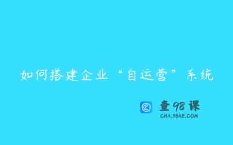 如何搭建企业“自运营”系统