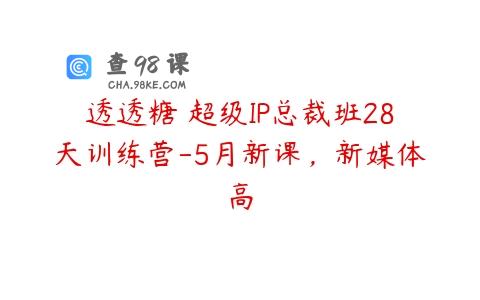 透透糖・超级IP总裁班28天训练营-5月新课，新媒体高