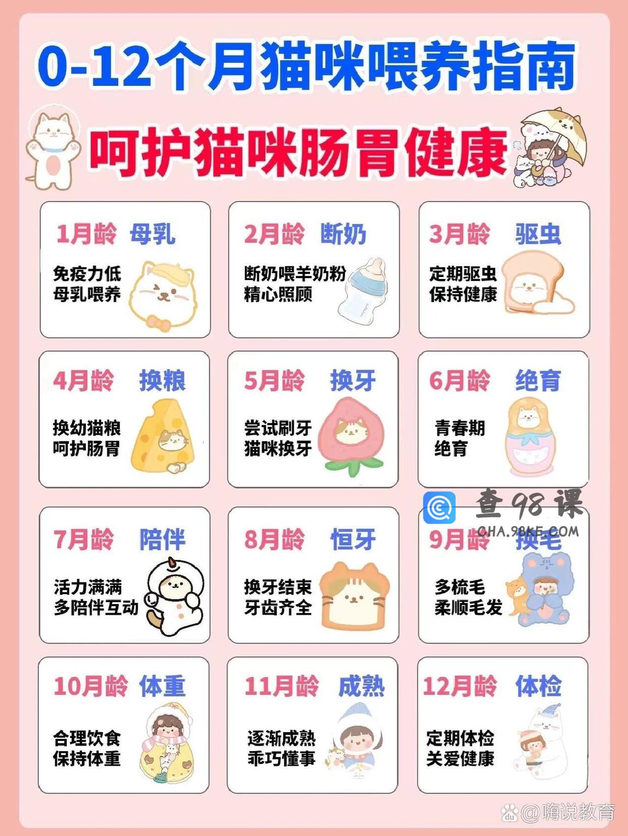 【宠物饲养】养猫技术教程养猫攻略