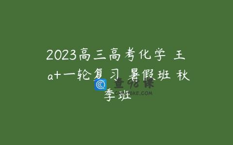 2023高三高考化学 王嫤 a+一轮复习 暑假班 秋季班