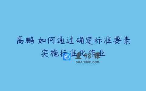 高鹏 如何通过确定标准要素实施标准化作业