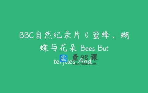 BBC自然纪录片《蜜蜂、蝴蝶与花朵 Bees Butterflies And Blooms》英文版