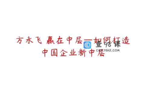 方永飞 赢在中层—如何打造中国企业新中层