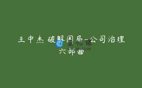 王中杰 破解困局-公司治理六部曲