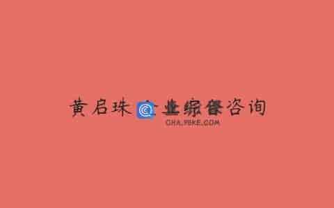 黄启珠 企业综合咨询