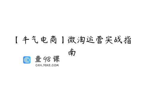 【牛气电商】微淘运营实战指南