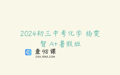 2024初三中考化学 杨雯智 A+暑假班
