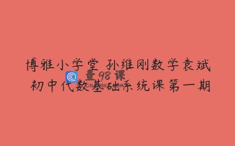 博雅小学堂 孙维刚数学袁斌 初中代数基础系统课第一期