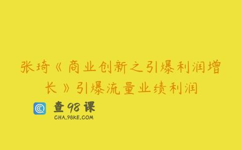 张琦《商业创新之引爆利润增长》引爆流量业绩利润