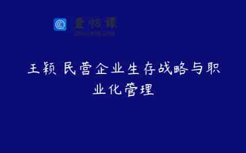 王颖 民营企业生存战略与职业化管理