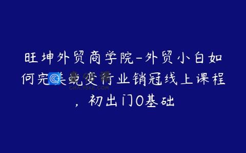 旺坤外贸商学院-外贸小白如何完美蜕变行业销冠线上课程，初出门0基础