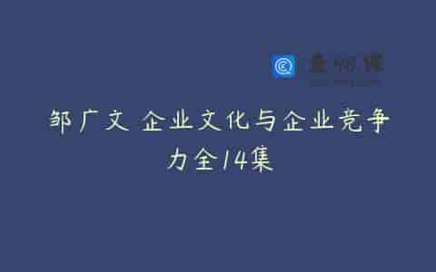 邹广文 企业文化与企业竞争力全14集