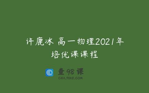 许鹿冰 高一物理2021年培优课课程