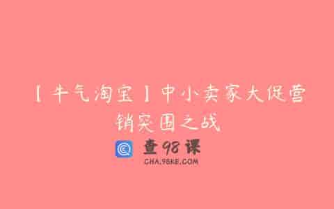【牛气淘宝】中小卖家大促营销突围之战