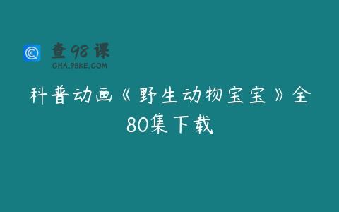 科普动画《野生动物宝宝》全80集下载