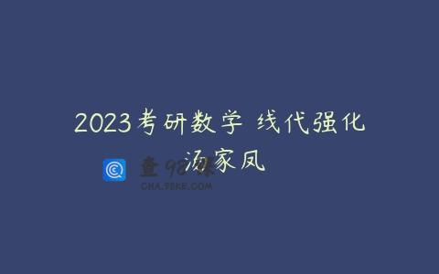 2023考研数学 线代强化 汤家凤