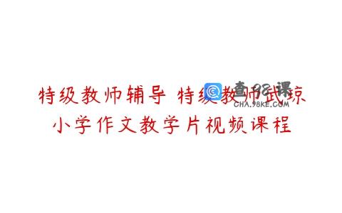 特级教师辅导 特级教师武琼小学作文教学片视频课程