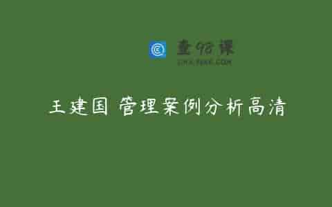 王建国 管理案例分析高清