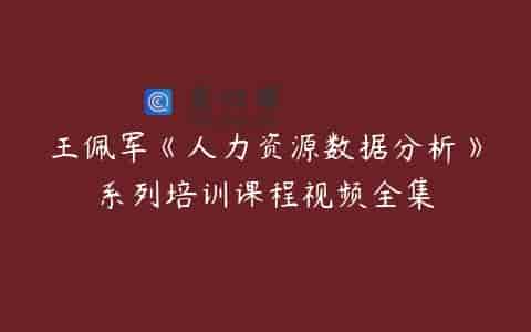 王佩军《人力资源数据分析》系列培训课程视频全集