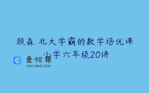 顾森 北大学霸的数学培优课 小学六年级20讲