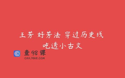 王芳 好芳法 穿过历史线 吃透小古文