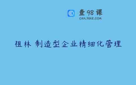 祖林 制造型企业精细化管理