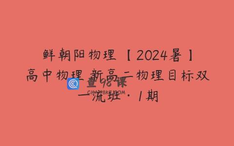 鲜朝阳物理 【2024暑】高中物理 新高二物理目标双一流班·1期
