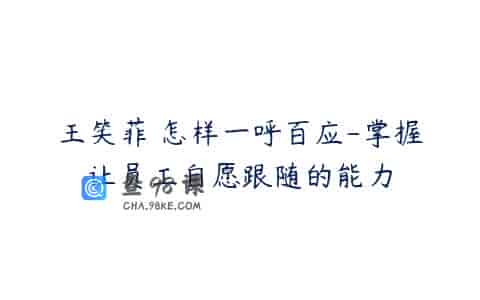 王笑菲 怎样一呼百应-掌握让员工自愿跟随的能力
