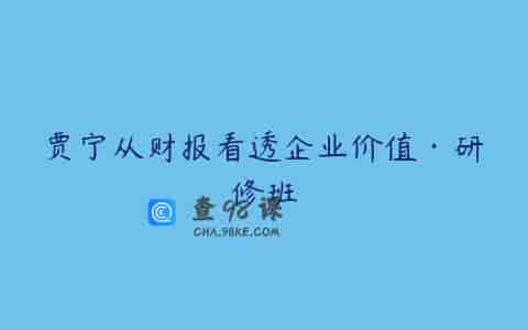 贾宁从财报看透企业价值·研修班