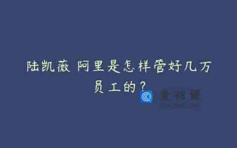陆凯薇 阿里是怎样管好几万员工的？