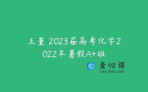 王堇 2023届高考化学2022年暑假A+班
