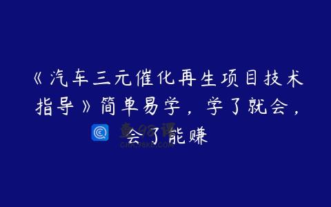 《汽车三元催化再生项目技术指导》简单易学，学了就会，会了能赚