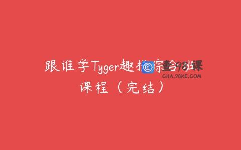 跟谁学Tyger趣拼综合班课程（完结）