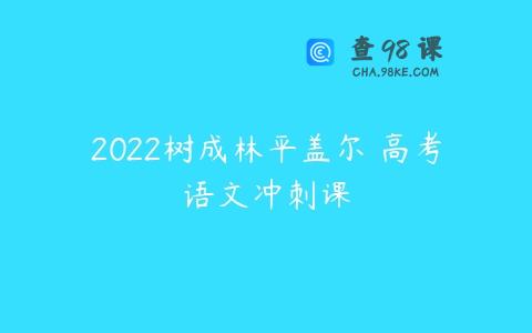 2022树成林平盖尔 高考语文冲刺课