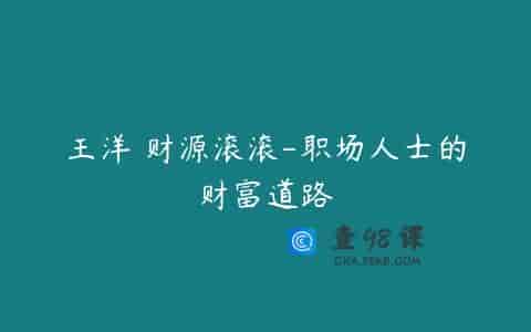王洋 财源滚滚-职场人士的财富道路