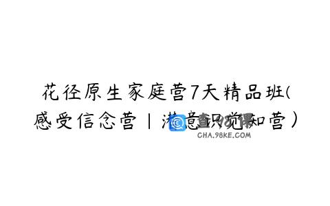 花径原生家庭营7天精品班(感受信念营|潜意识觉知营）