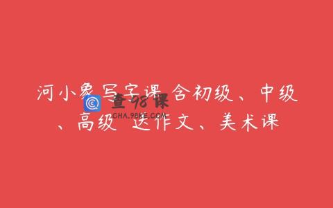 河小象写字课 含初级、中级、高级  送作文、美术课