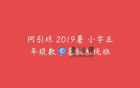 何引琼 2019暑 小学五年级数学暑假系统班
