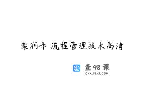 栾润峰 流程管理技术高清