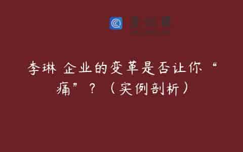 李琳 企业的变革是否让你“痛”？（实例剖析）