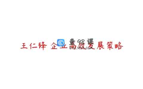 王仁锋 企业高效发展策略