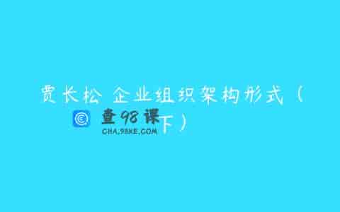 贾长松 企业组织架构形式（下）