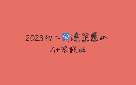 2023初二英语 王凯娇 A+寒假班
