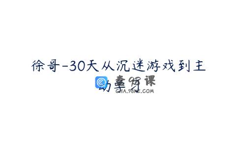 徐哥-30天从沉迷游戏到主动学习